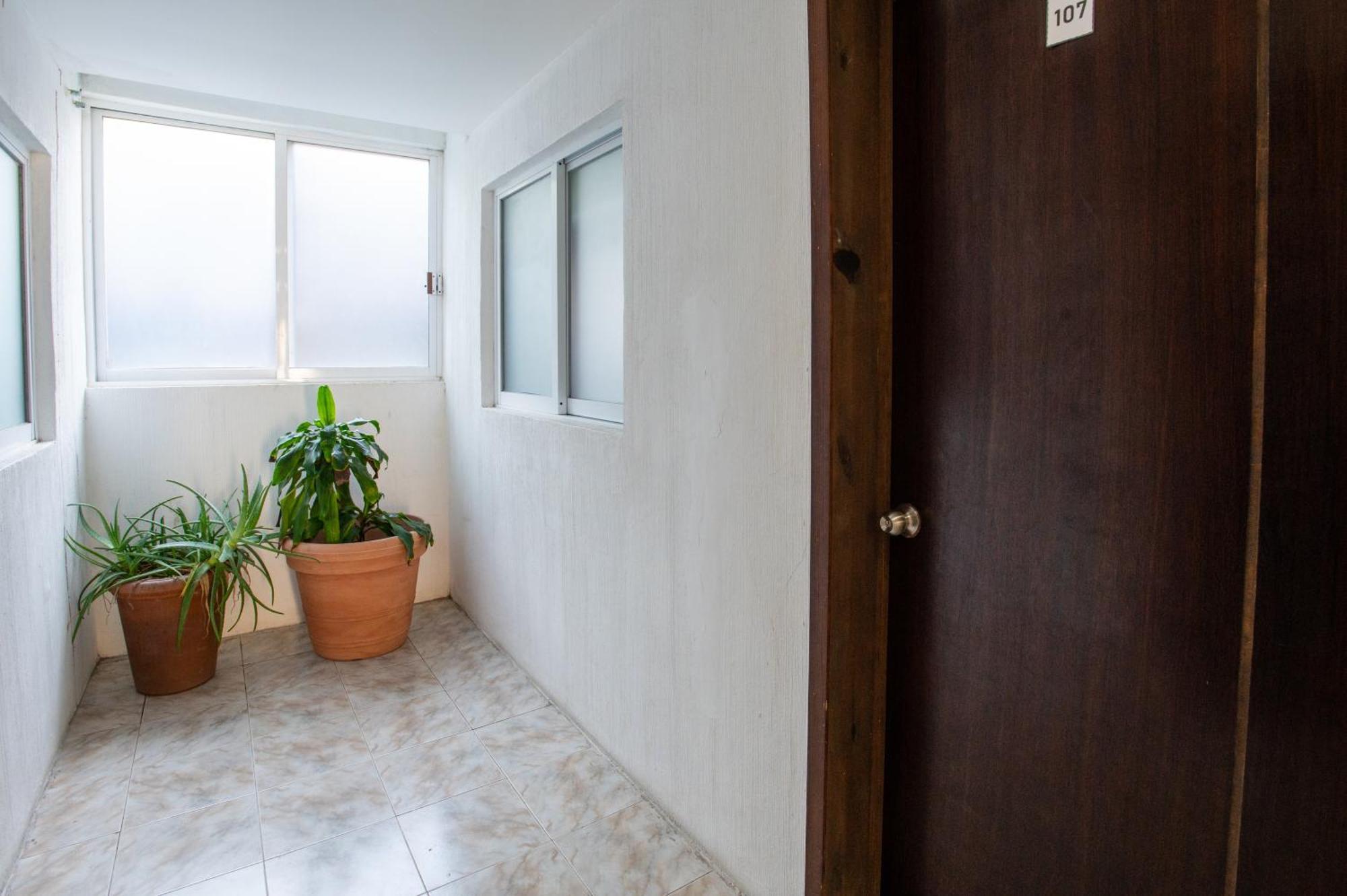 פלאייה דל כרמן Hotel Turquesa מראה חיצוני תמונה